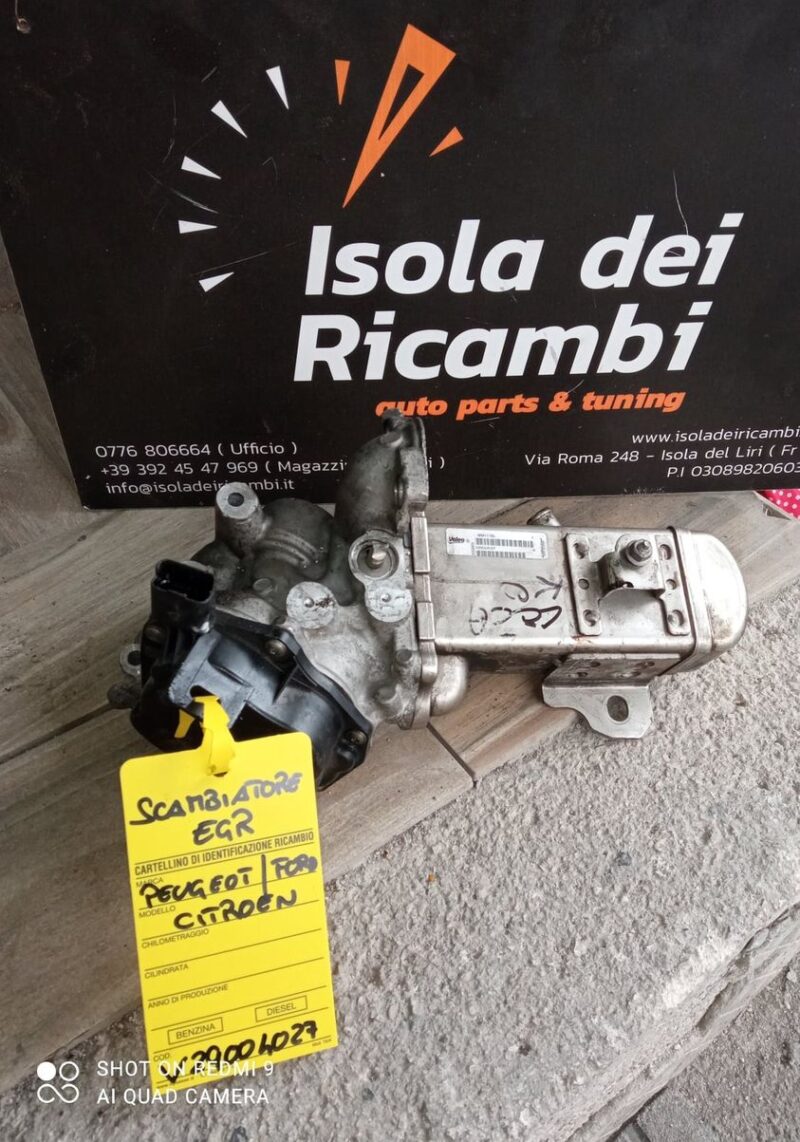 Valvola Egr Usata - Citroen / Peugeot 2000 Hdi