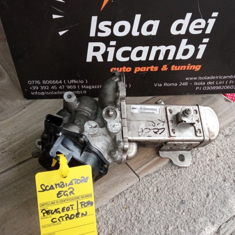 Valvola Egr Usata - Citroen / Peugeot 2000 Hdi